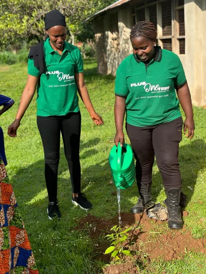 Watering a newly planted tree