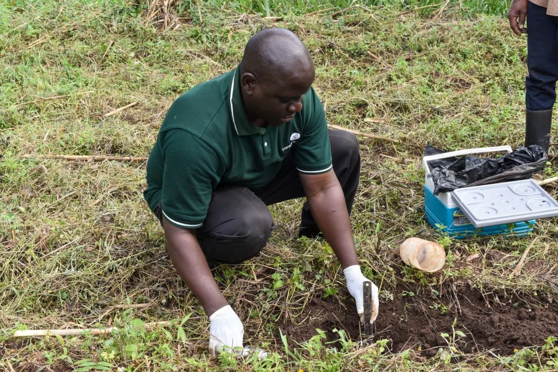 Soil Testing